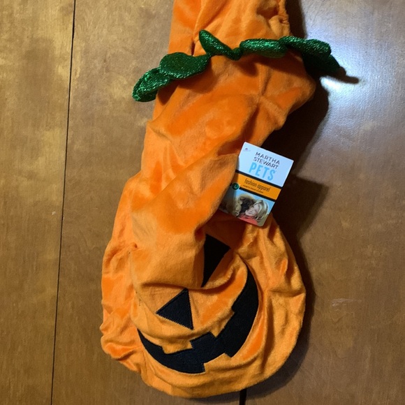 MARTHA STEWART- Large Pumpkin 🎃 Dog Costume - Picture 2 of 6